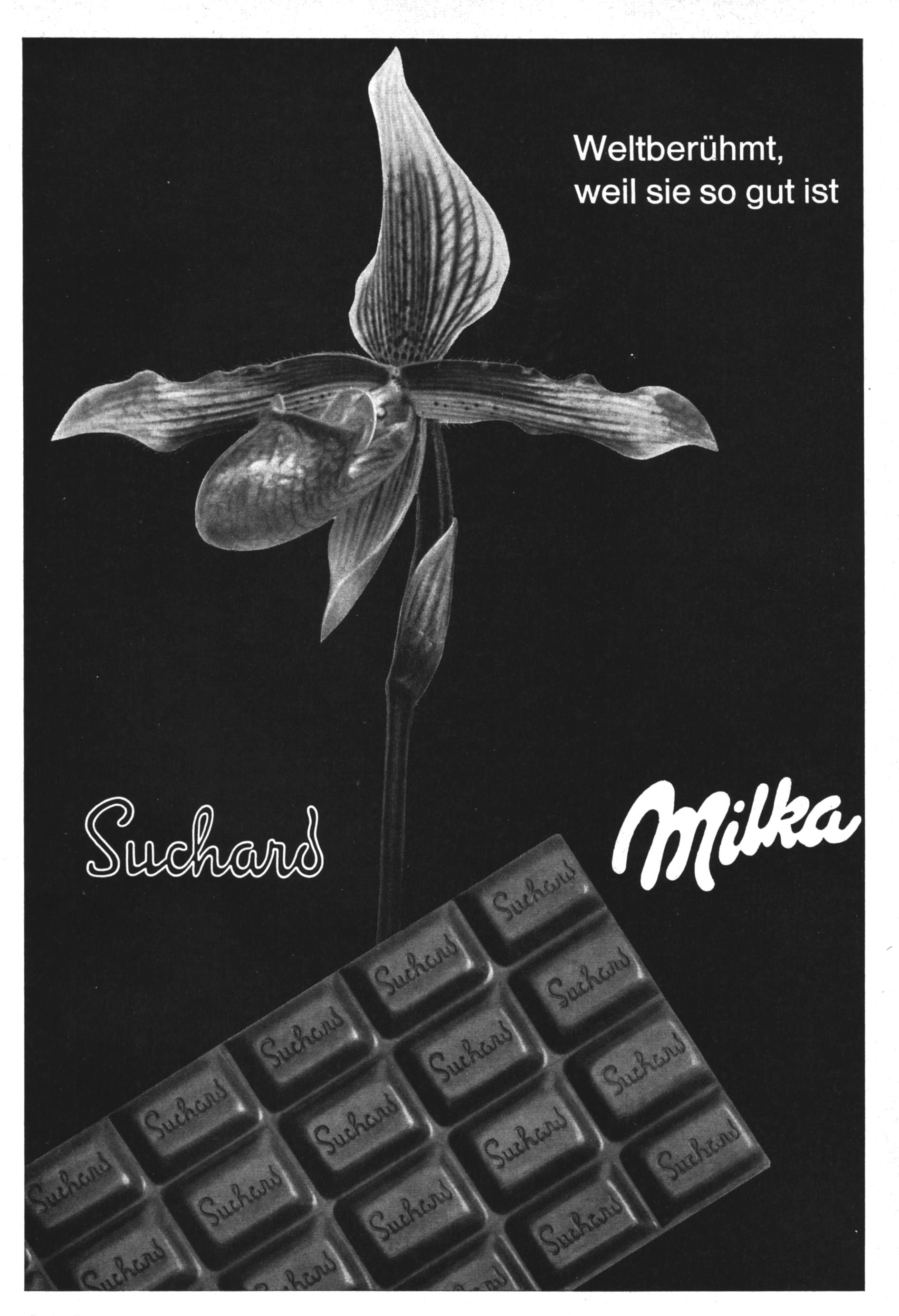 Mika 1962 3.jpg